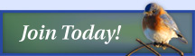 Join Today!